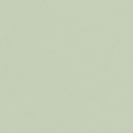 Light green linoleum cut-to-size | 4183 Pistachio | Forbo Linoleum