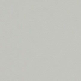 Light grey linoleum cut-to-size | 4177 Vapour | Forbo Linoleum
