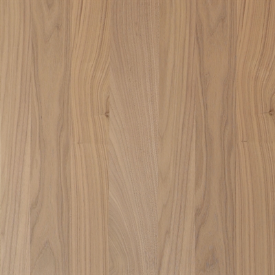 NON-Acoustic Clear Panel - Untreated American Walnut 60 x 120 cm