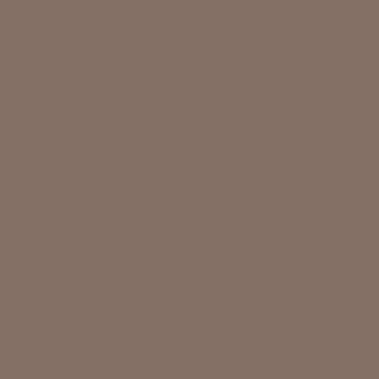 Formica Laminate - Earth 