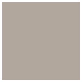 Fenix Laminate - Beige Arizona (Beige)