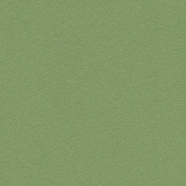 Linoleum for pin board - Baby Lettuce